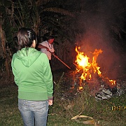 Picture 031